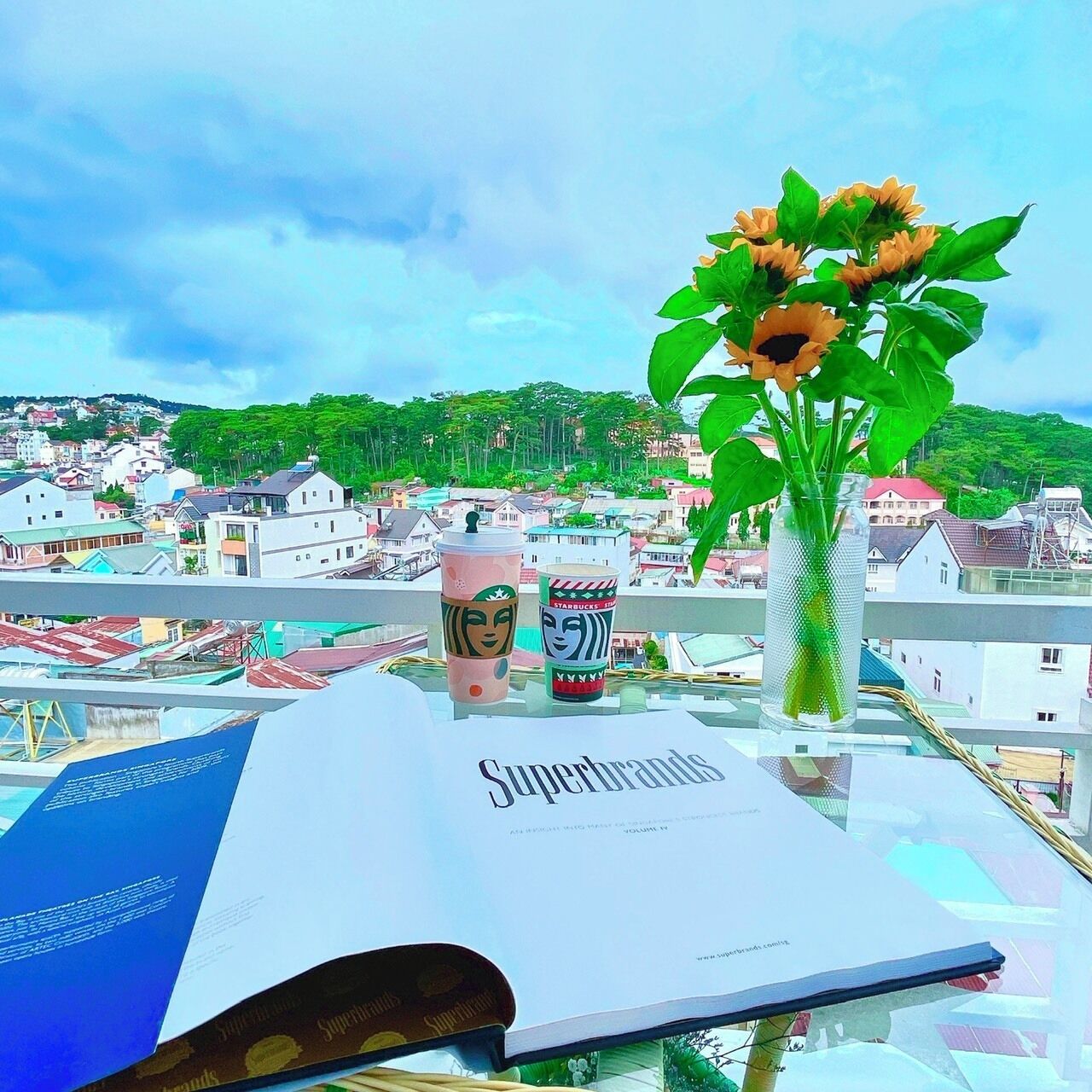 Vistas a la montaña