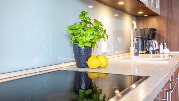 Uma cozinha moderna com bancada de vidro, uma planta em vaso e limões.