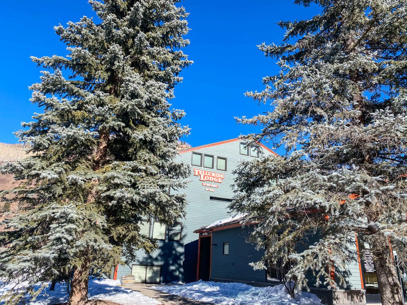 A building with a sign reading 'Telluride Lodge' surrounded by snow-covered trees.