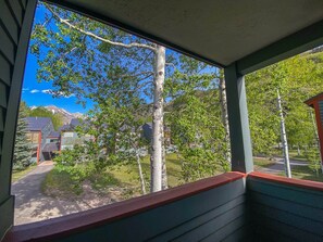 Interior - Telluride Lodge, Your mountain gateaway with amazing service and very affordable (Telluride)