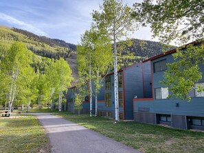 A row of modern buildings with a pathway leading to a bench, surrounded by birch trees and a mountainous backdrop. - Telluride Lodge, Your mountain gateaway with amazing service and very affordable (Telluride)