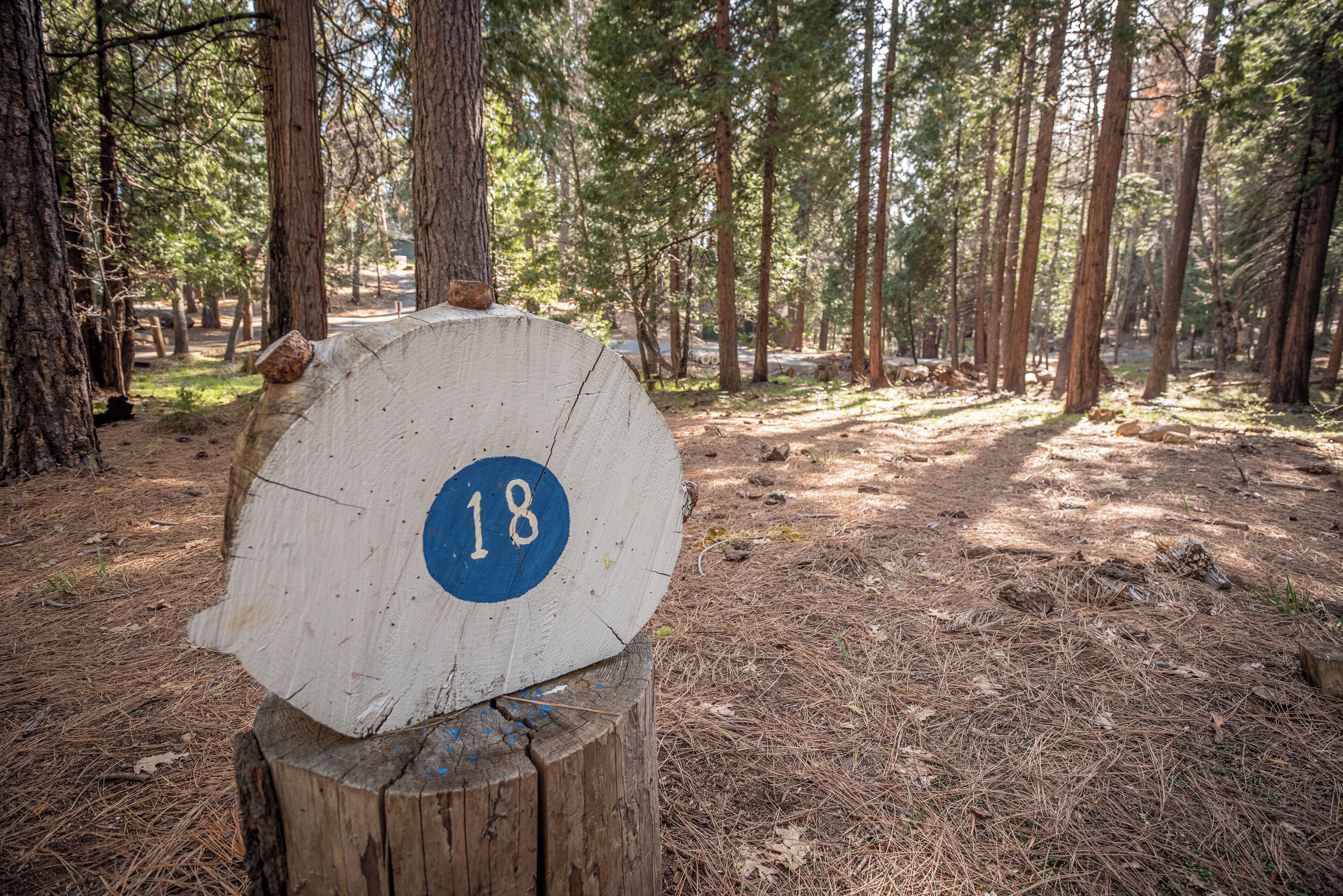 A wooden post with a circular cutout marked with the number 18 in a forested area.