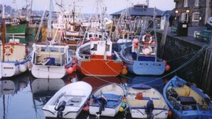 Un port de plaisance où sont amarrés différents types de bateaux, notamment de petits bateaux à moteur et de plus grands navires de pêche.