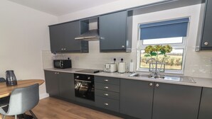 A modern kitchen with dark cabinets, a built-in oven, a microwave, and a window with a view of greenery. - THE BOATHOUSE, family friendly in Carrigaholt, County Clare (Kilkee)