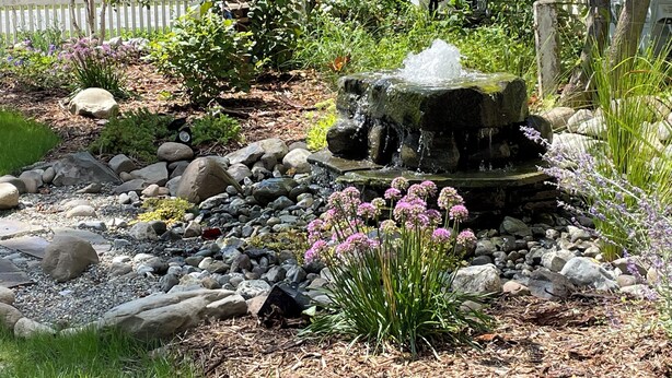Un jardín con una fuente de piedra rodeada de diversas plantas y flores.