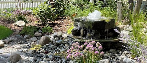Outdoor wedding area