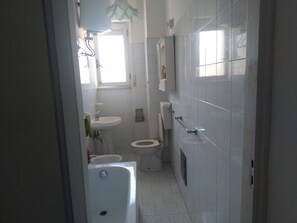 Hair dryer, bidet, towels, soap