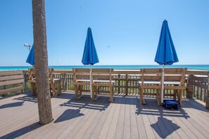 テラス / パティオ