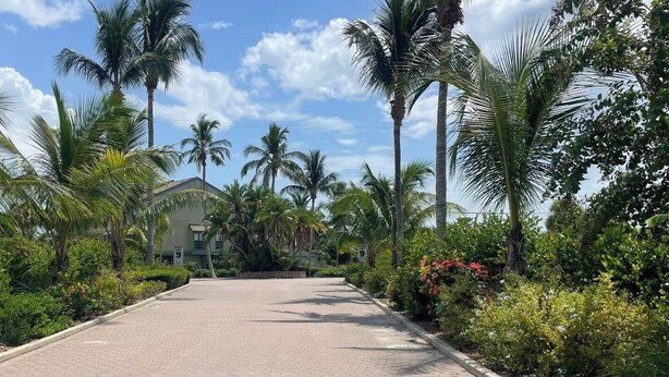 A paved pathway lined with palm trees and lush greenery, leading to a building with a sign indicating a speed limit of 9. - Bocilla Island Club Unit C-13 (Bokeelia)
