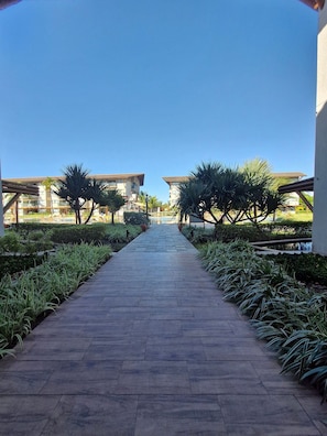 Un camino pavimentado que conduce a un edificio de techo plano y múltiples ventanales, rodeado de vegetación y palmeras.