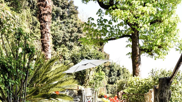 A garden pathway with red tulips, a palm tree, and a wooden fence. - Villa Antonella, app. Victory (Tavernerio)