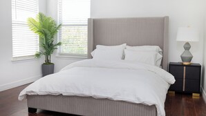 A bedroom with a bed, a nightstand, a lamp, and a potted plant.