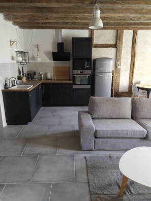 TV, stereo - 3-star Bildstein gîte in COULLONS (Coullons)