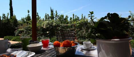 An outdoor dining table with food, a potted plant, and a clear view of the garden.