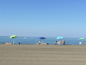 House | View from property - Farmhouse in Montalto Near Sandy Beaches (Montalto di Castro)