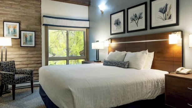 A hotel room with a large bed, a wooden headboard, a window with a view of trees, and framed artwork on the wall.