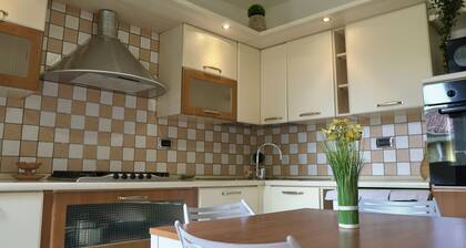 Downtown apartment for couples and families.Very quiet.