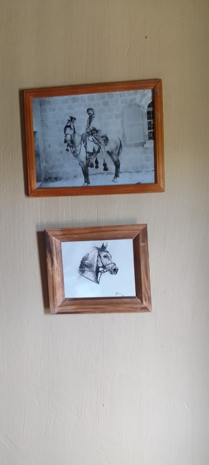 Due disegni a cavallo in bianco e nero, incorniciati, appesi a una parete.