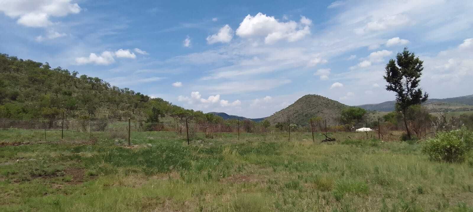 A rural landscape with a grassy field, a hill, and a few scattered trees.