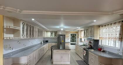 Modern and spacious luxury house