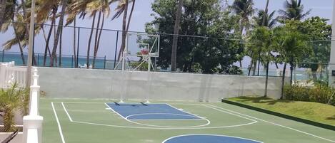 Cancha de baloncesto al aire libre con aro, rodeada por una cerca y palmeras.