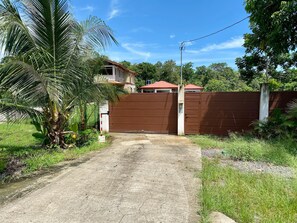 Enter a serene oasis surrounded by lush greenery and a majestic palm tree.