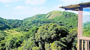 Deluxe Double Room, Balcony | Terrace/patio
