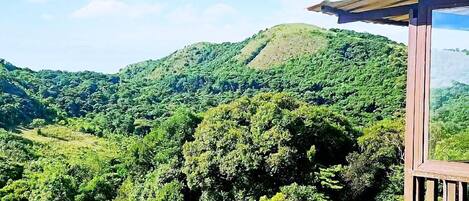 Deluxe Double Room, Balcony | Terrace/patio