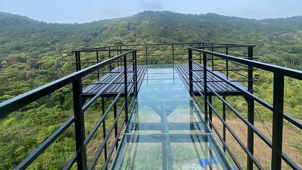 A glass bridge with metal railings, leading to a forested hillside. - Coorg Tree House (Madikeri)