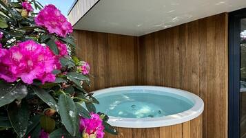 Sauna, mata air panas / mata air mineral, perkhidmatan urut