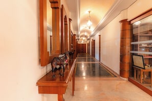 Lobby - The Sky Imperial Udaipur (Udaipur)