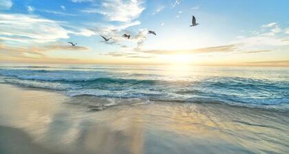 Quay 903 Flexible Stays on the Beach