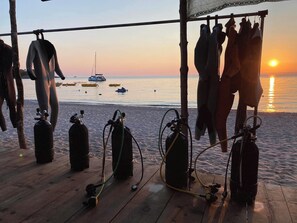 على الشاطئ، رمال بيضاء، كراسي للتشمس، مظلات الشاطئ