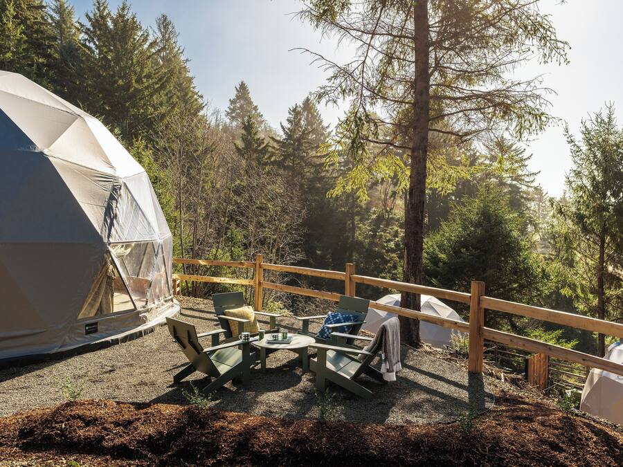 A tented camping area with a table and chairs, surrounded by trees.