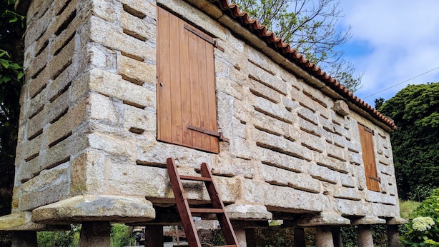 A stone building with wooden shutters, a ladder, and a garden with plants. - House in Mar de Fóra (Fisterra) (Fisterra)