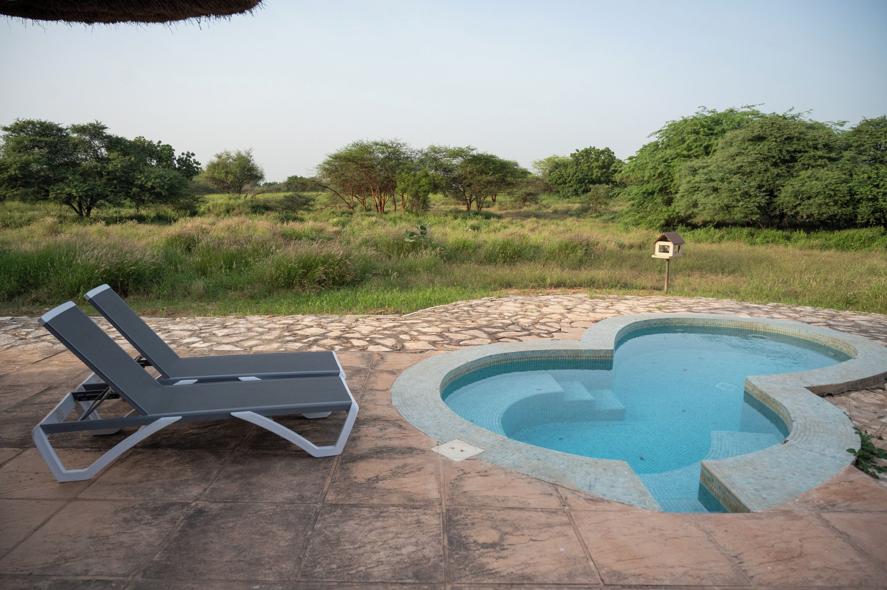 奢華雙人房, 私人泳池, 公園景觀 | 私人游泳池