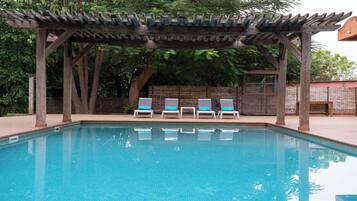 Outdoor pool, sun loungers