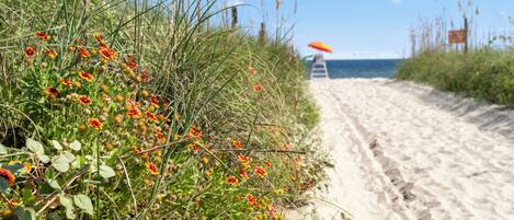 Sun-loungers, beach towels