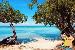 A beach scene with clear blue water and a sandy shore. - Seafront tropical luxury  private Casita  w/ pool Iguana Beach House Belize (Corozal District)