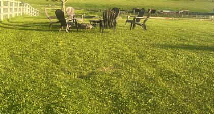 The Russian Olive Homestead