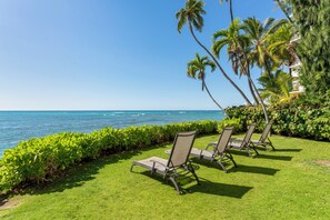 Property grounds - Charming Studio Apartment with WiFi, AC in beautiful Diamond Head Beach Park! (Honolulu)