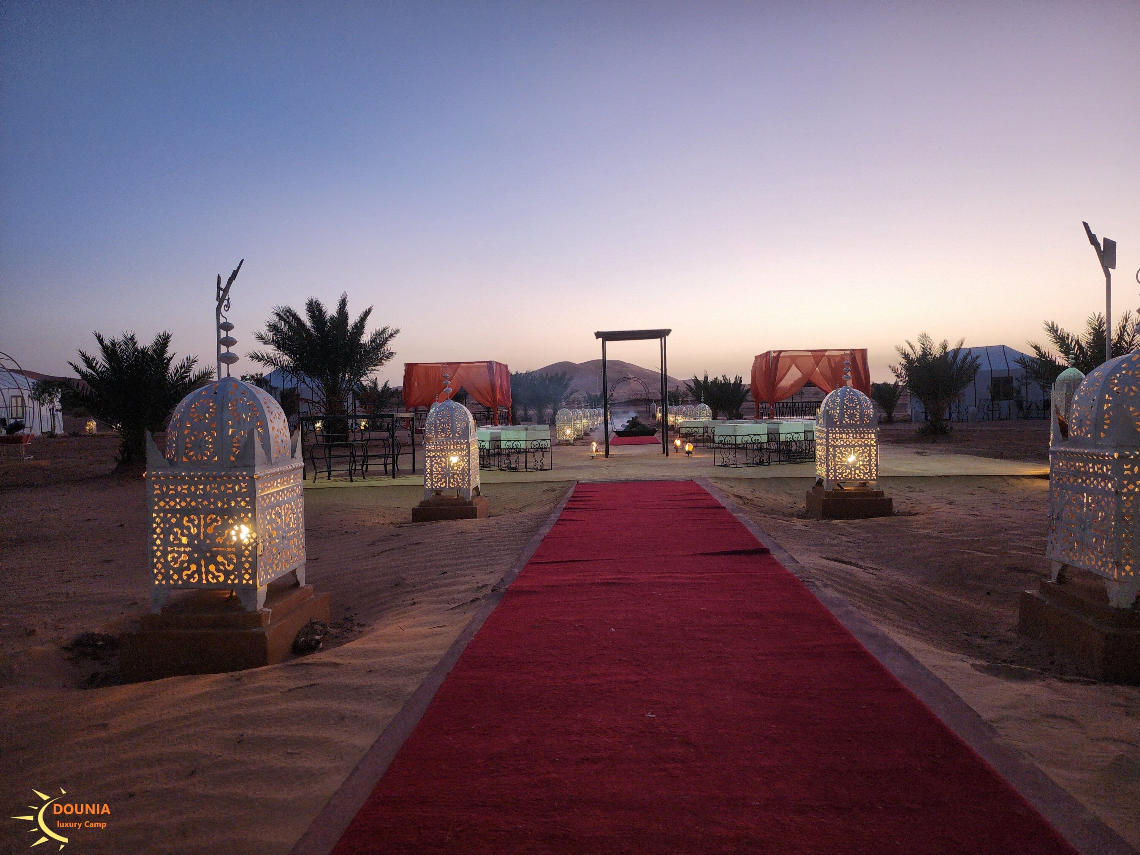A desert setting with a red carpet leading to a canopy structure, surrounded by ornate lanterns and palm trees.