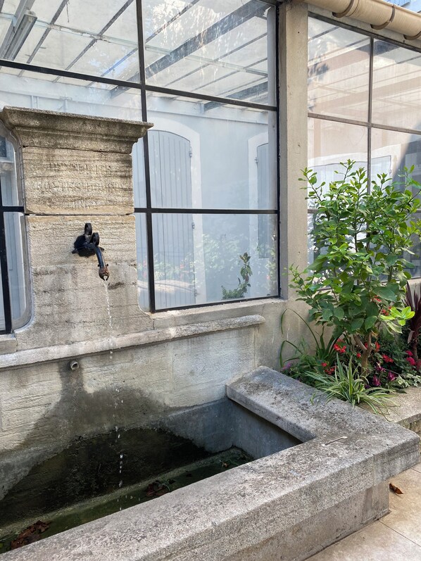 Terrein van de accommodatie