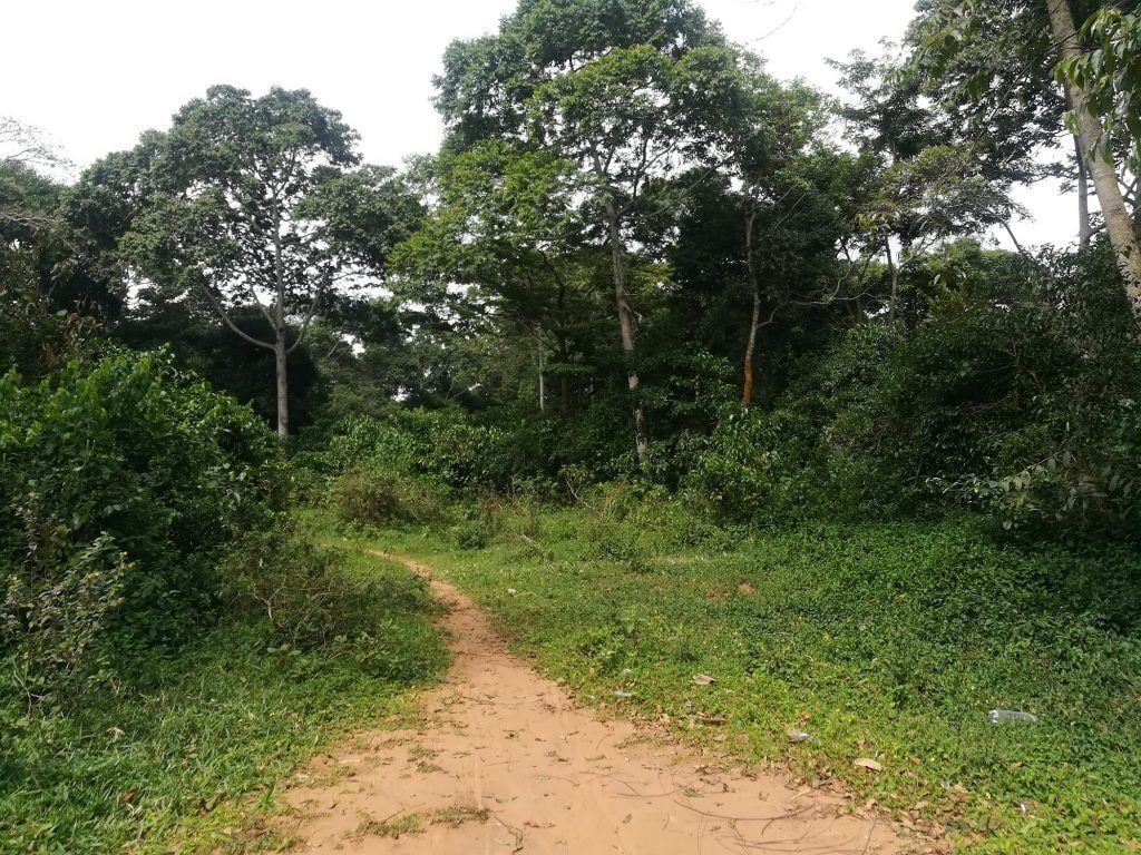 Photo - De Rain Eco Beach Resort