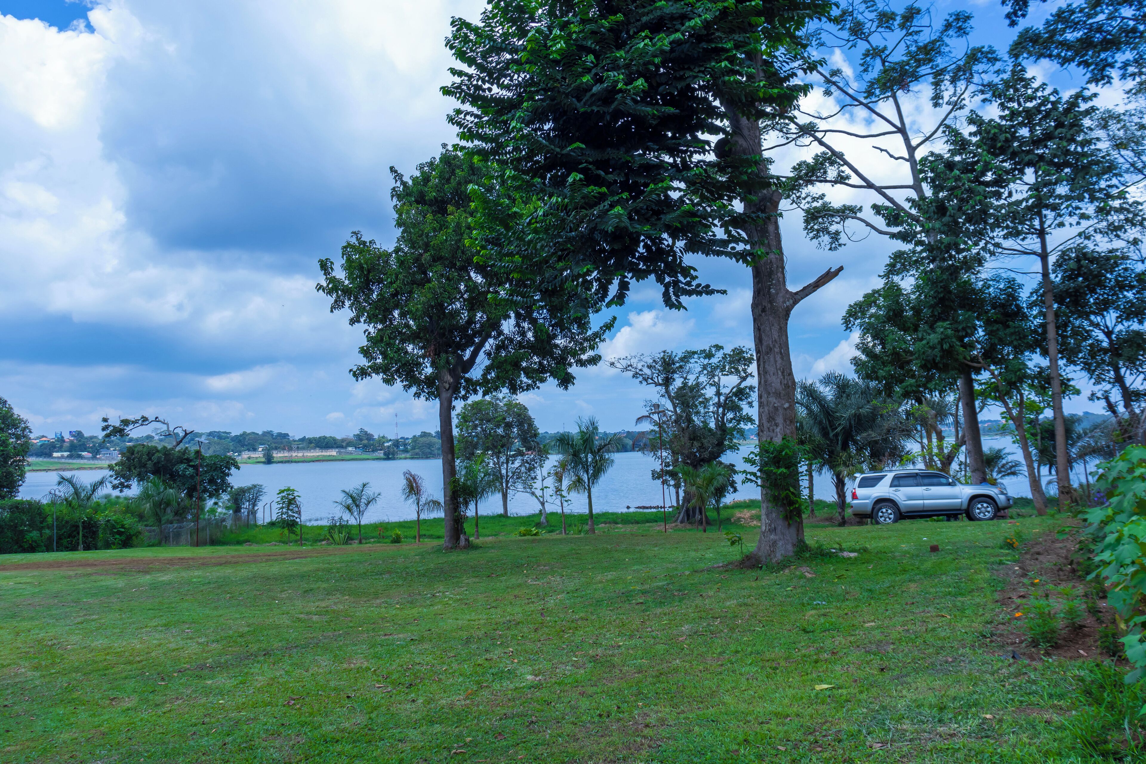 A grassy area with trees and a body of water in the background.