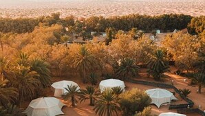 Un paysage désertique où l’on aperçoit de nombreuses tentes blanches, regroupées par îlots, et entourées d’une végétation clairsemée et de palmiers.