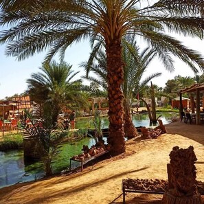 Hot springs - Hotel Pansy  (Douz Sud)