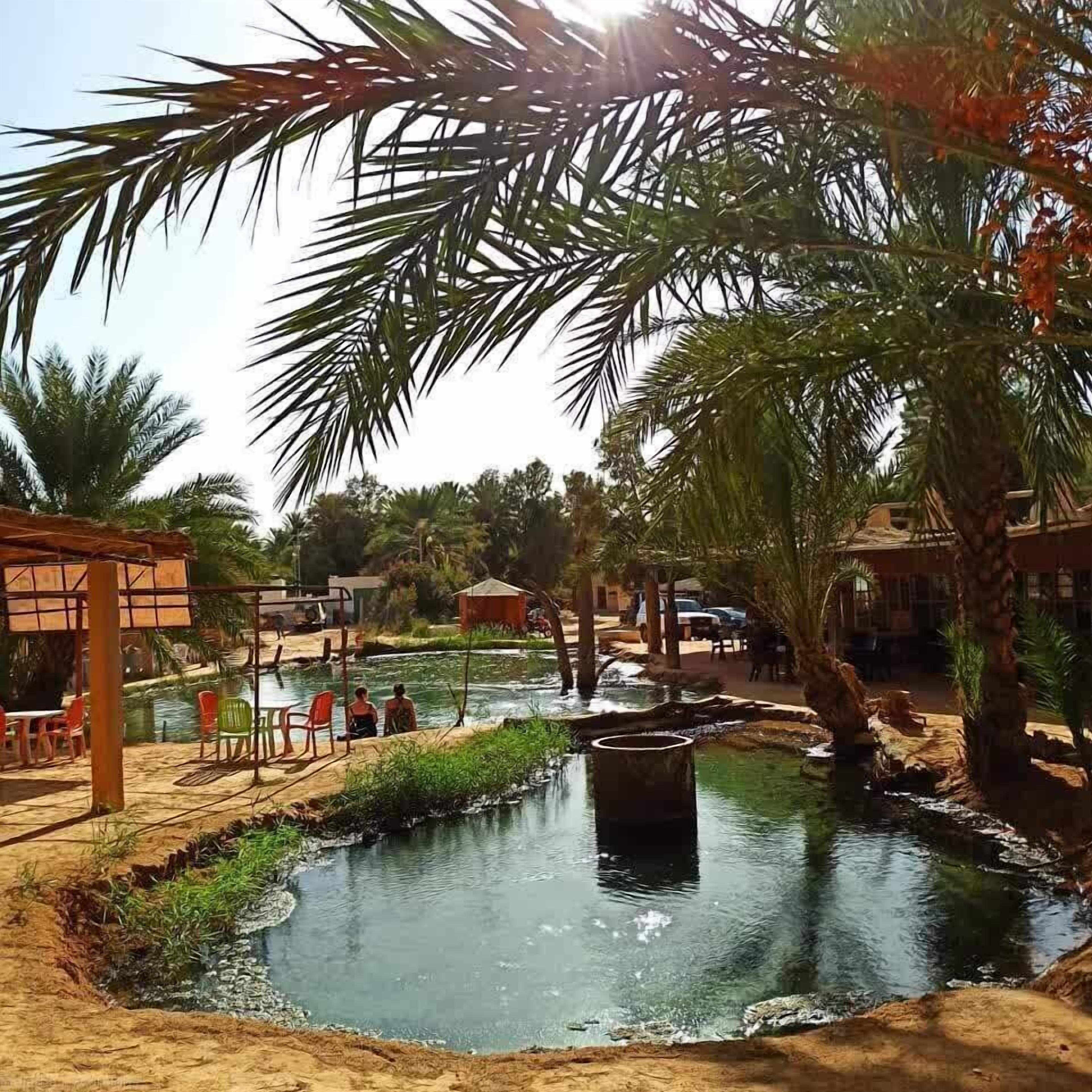 Un área de piscina al aire libre tranquila, con palmeras, una cascada pequeña y una terraza de madera con sillas.