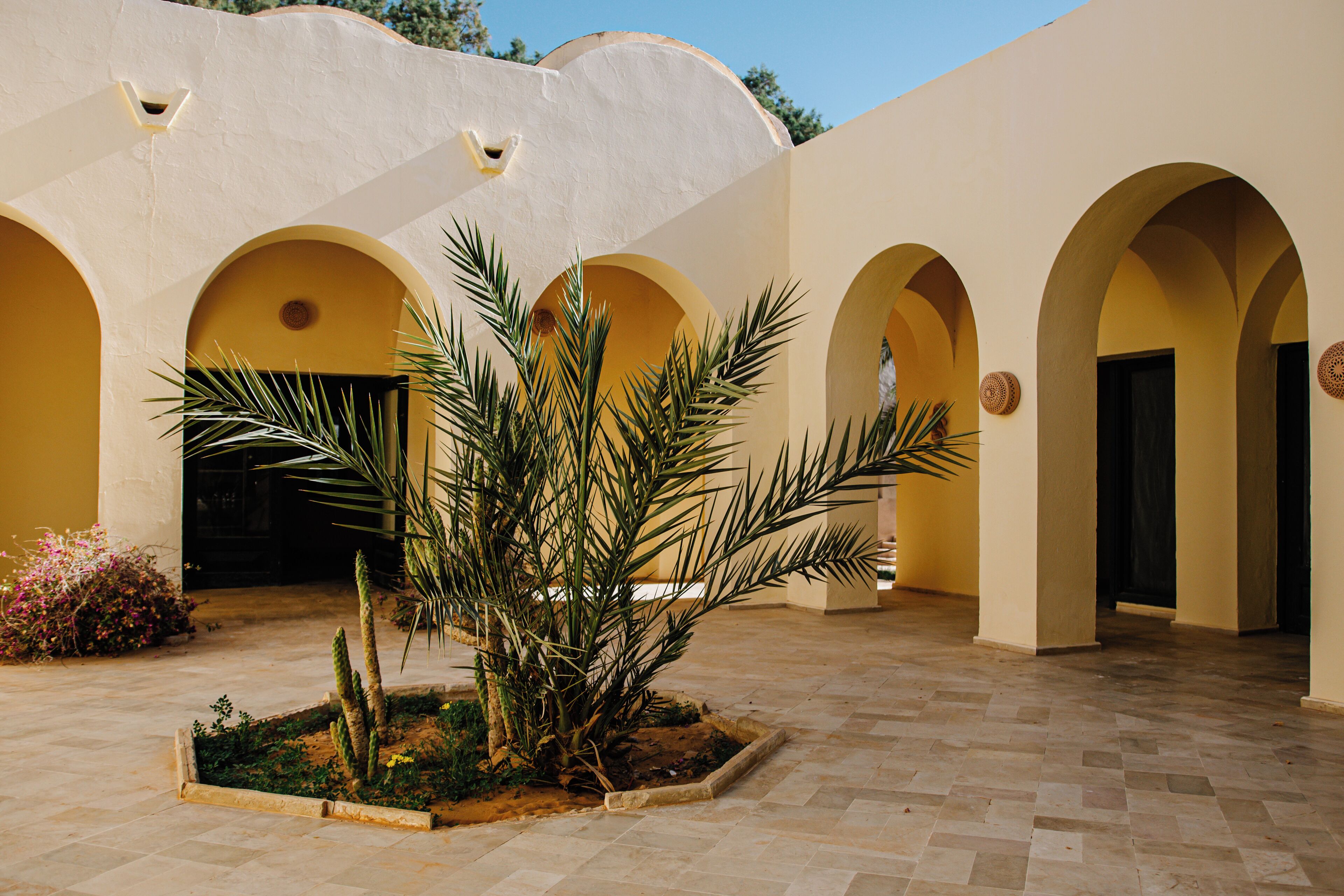 Un patio con una palmera, arcos y suelo de baldosas.