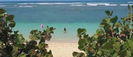 海滩
